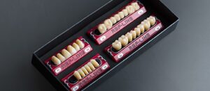 REF-LINE Acrylic Artificial Teeth