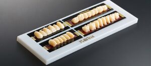 PRIMODENT Acrylic Artificial Teeth