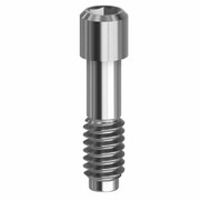 Megagen Anyridge® Screws