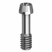 BioHorizons® Internal Hex Screws