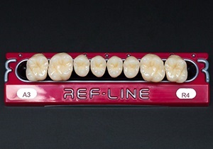 REF-LINE Posterior Teeth