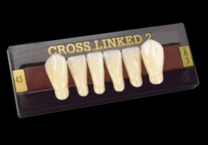 CROSS LINKED 2 Lower Anterior Teeth