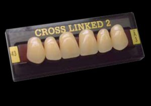 CROSS LINKED 2 Upper Anterior Teeth
