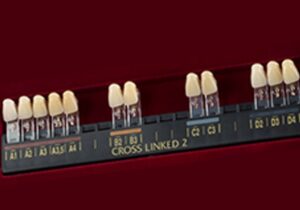CROSS LINKED 2 Shade Guide