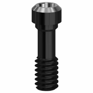 DLC Final Screw - 4.1 (RP) - 19.228