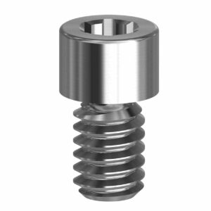 Final Screw - Multiunit (WP) - 19.031-P10